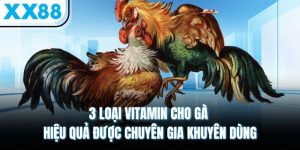 3 Loại Vitamin Cho Gà Hiệu Quả Được Chuyên Gia Khuyên Dùng
