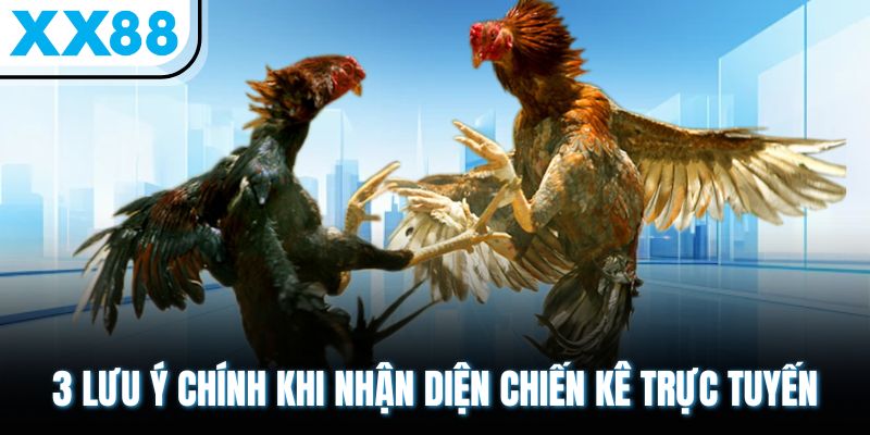 Màu Mạng Gà Đá - Khám Phá Chi Tiết Về Từng Khía Cạnh 3 3 lưu ý chính khi nhận diện chiến kê trực tuyến