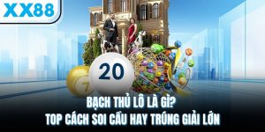 Bạch Thủ Lô Là Gì? Top Cách Soi Cầu Hay Trúng Giải Lớn