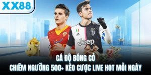 Cá Độ Bóng Cỏ - Chiêm Ngưỡng 500+ Kèo Cược Live Hot Mỗi Ngày