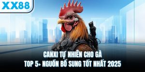 canxi tu nhien cho ga top 5 nguon bo sung tot nhat 2025