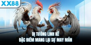 Dị Tướng Linh Kê - Đặc Điểm Mang Lại Sự May Mắn