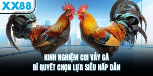 Kinh Nghiệm Coi Vảy Gà - Bí Quyết Chọn Lựa Siêu Hấp Dẫn