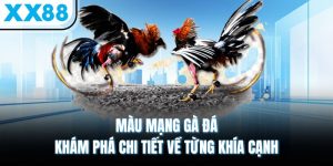 Màu Mạng Gà Đá - Khám Phá Chi Tiết Về Từng Khía Cạnh