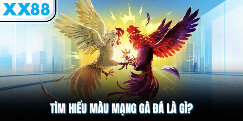 Màu Mạng Gà Đá - Khám Phá Chi Tiết Về Từng Khía Cạnh 1 Tìm hiểu màu mạng gà đá là gì?